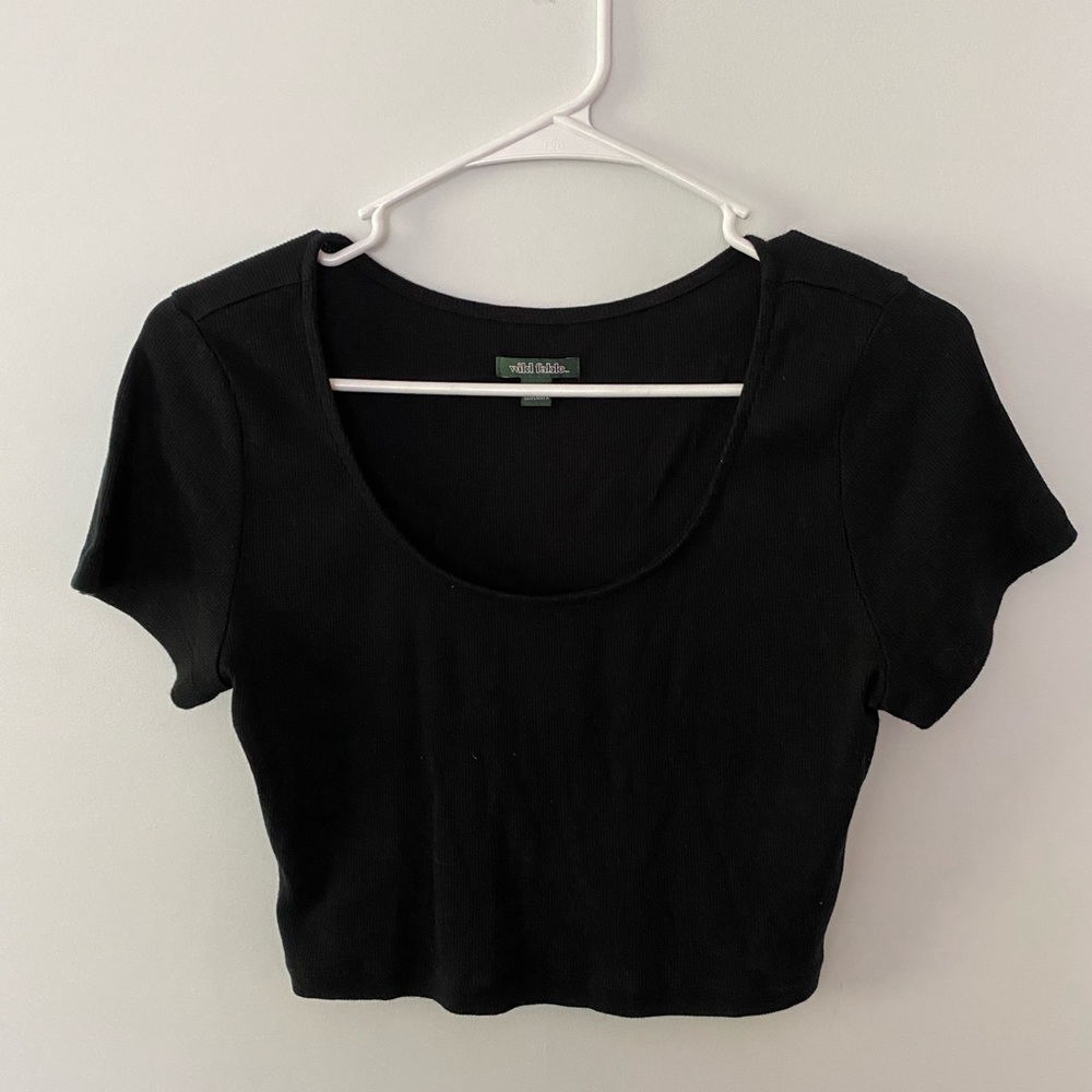 2 wild fable crop tops